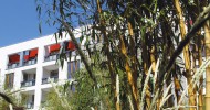 Vasati