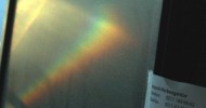 gegenlicht