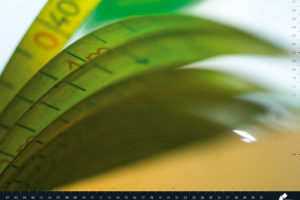 BDVI Kalender 2008 – Juli Abbildung