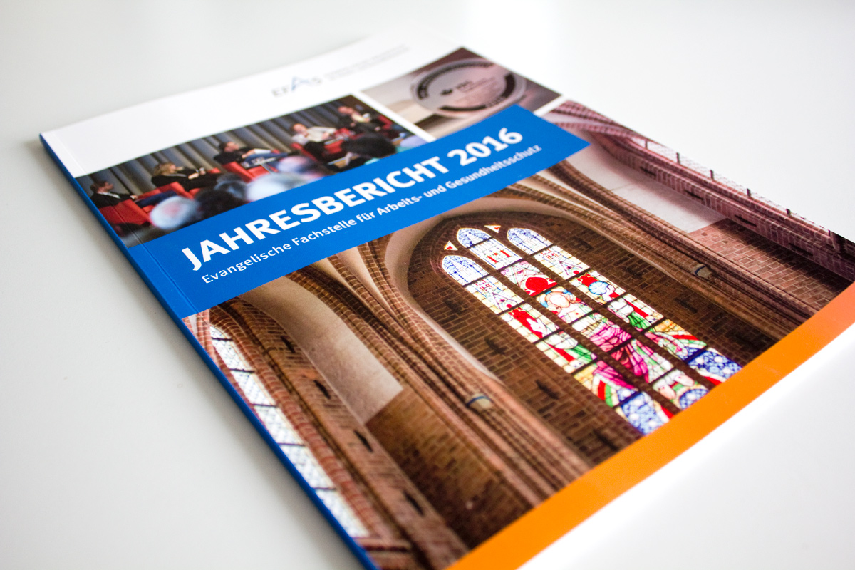 Print-Referenz EFAS Jahresbericht